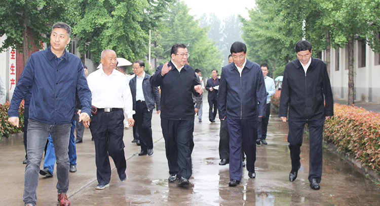 安徽省副省长：何树山(右二） ; 亳州市市长：杜延安（右三）来厂指导工作.jpg